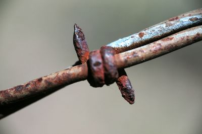 045 - Barbed Wire