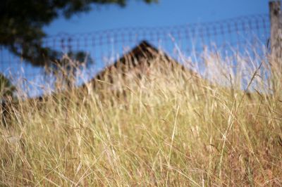 050 - Grass and House