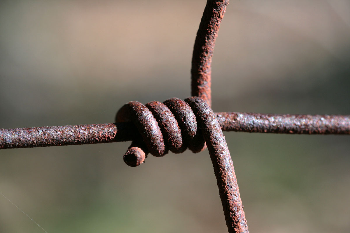 054 - Rusted Fence