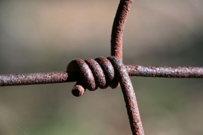 054 - Rusted Fence