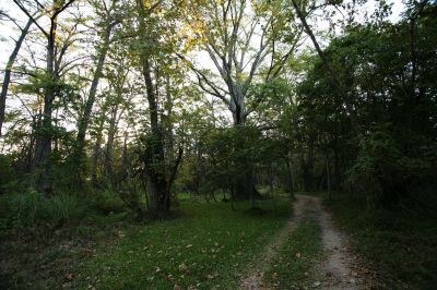 058 - Creekside Road