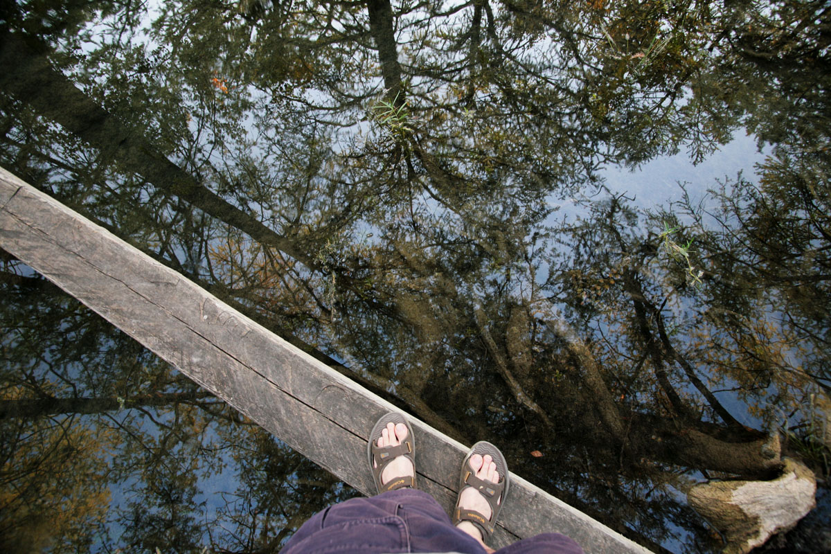 060 - Log Bridge Reflection
