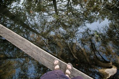 060 - Log Bridge Reflection