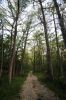 11 - Creekside Road by Alan Bryant