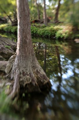 066 - Cypress Creek