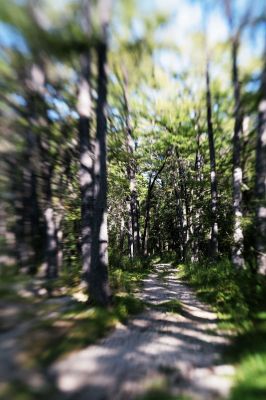 075 - Creek Road