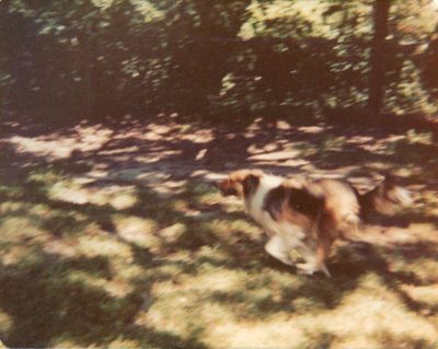 A03 - 1977? - Missy