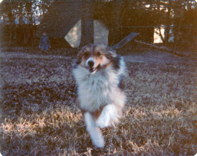A07 - 1977? - Missy