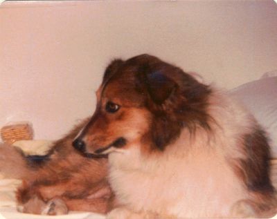 B02 - 1977? - Missy
