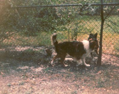 B04 - 1978? - Missy and Amy
