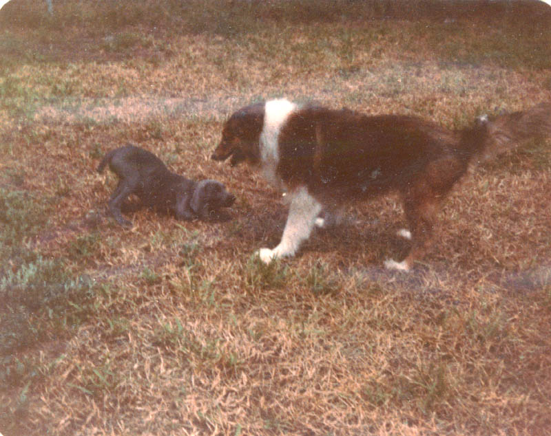 B09 - 1978? - Crystal and Missy