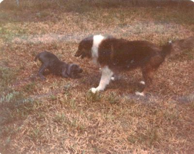 B09 - 1978? - Crystal and Missy