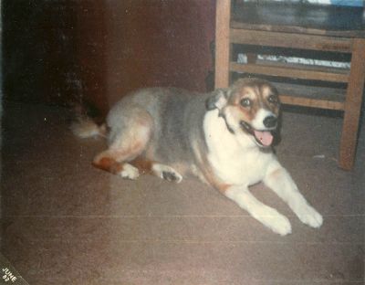 B12 - 1982 - Missy