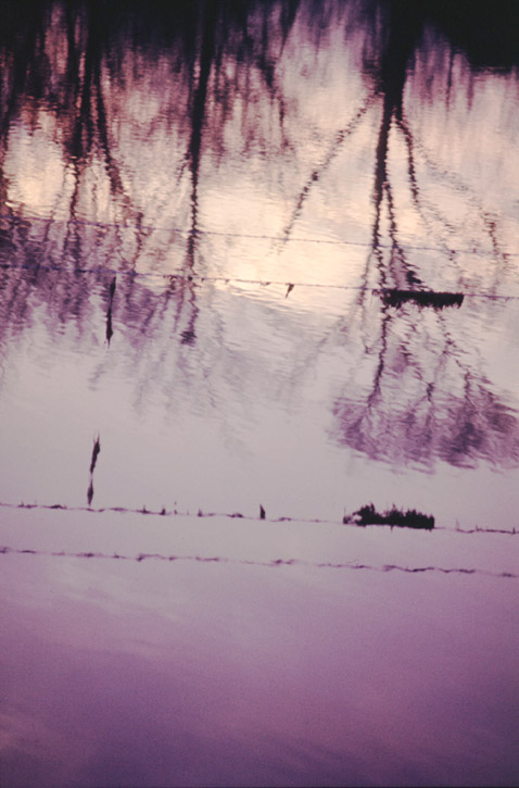 03 - Reflection (2)