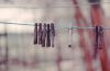 07 - Clothes Pins by Alan Bryant