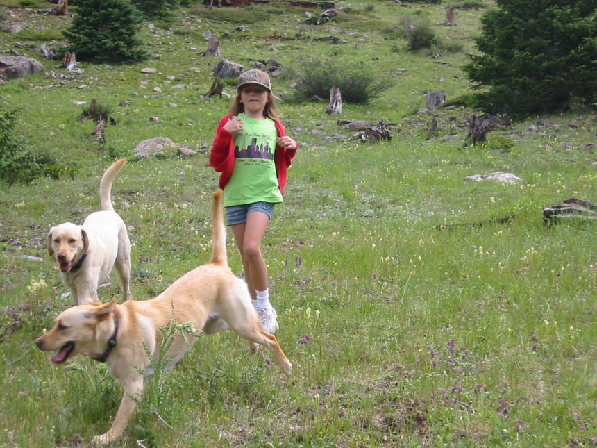 Cassidy-Cheyenne(foreground) and random dog