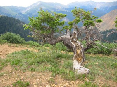 Life at 12,000 Feet.JPG