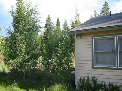 Side yard