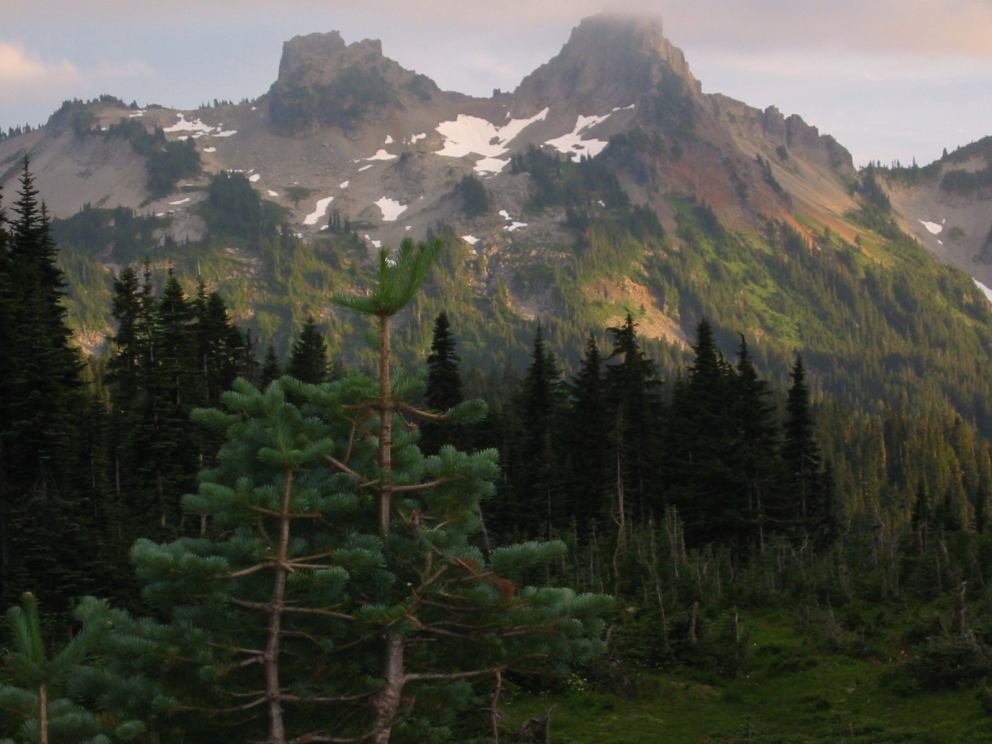 Washington Sunset.JPG